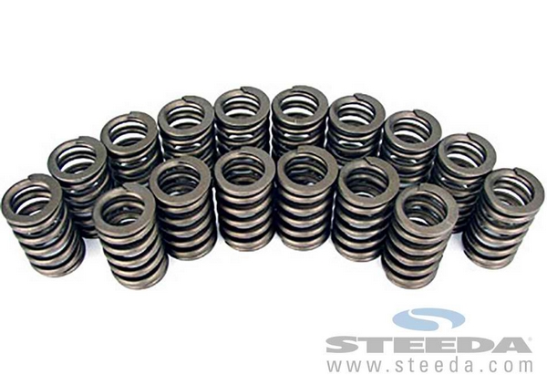 Valve Spring Kit